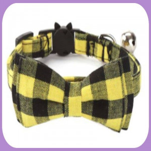 Collar-229